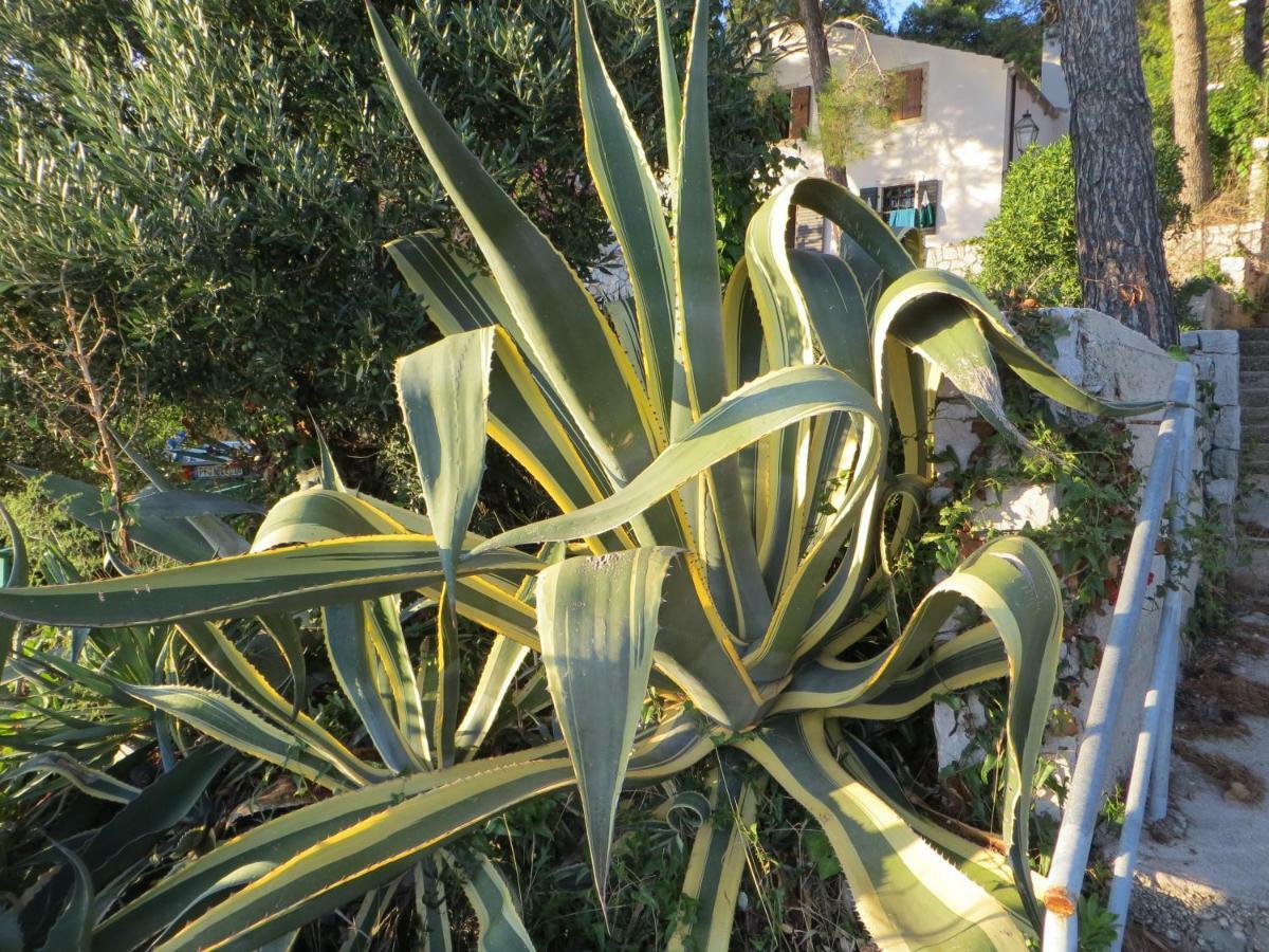 Apartment Sunshine Mali Losinj Luaran gambar