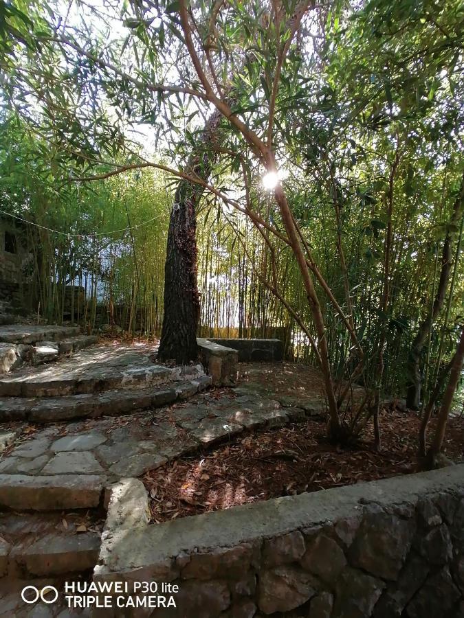 Apartment Sunshine Mali Losinj Luaran gambar
